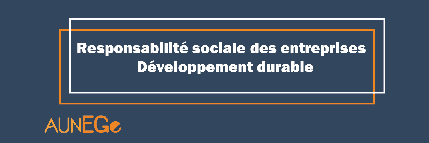 Responsabilité sociale des entreprises et développement durable