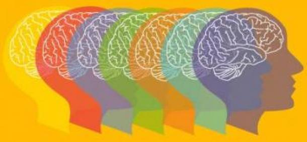 Les fondamentaux de l'approche neurocognitive et comportementale