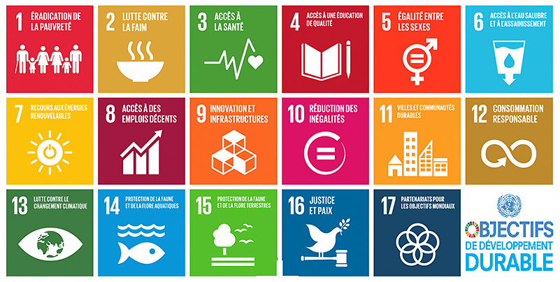 A la découverte des 17 Objectifs de Développement Durable